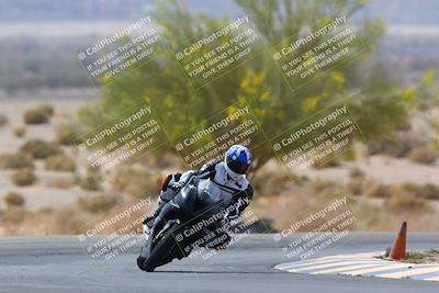 media/Apr-10-2022-SoCal Trackdays (Sun) [[f104b12566]]/Turn 5 Tree of Life (1040am)/